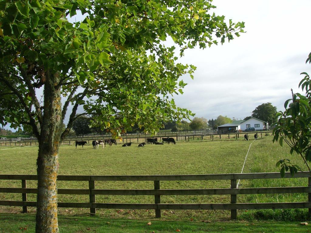 Blairgowrie House Bed & Breakfast Cambridge Luaran gambar