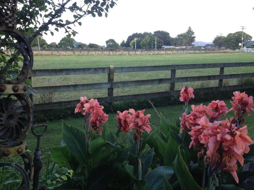 Blairgowrie House Bed & Breakfast Cambridge Luaran gambar