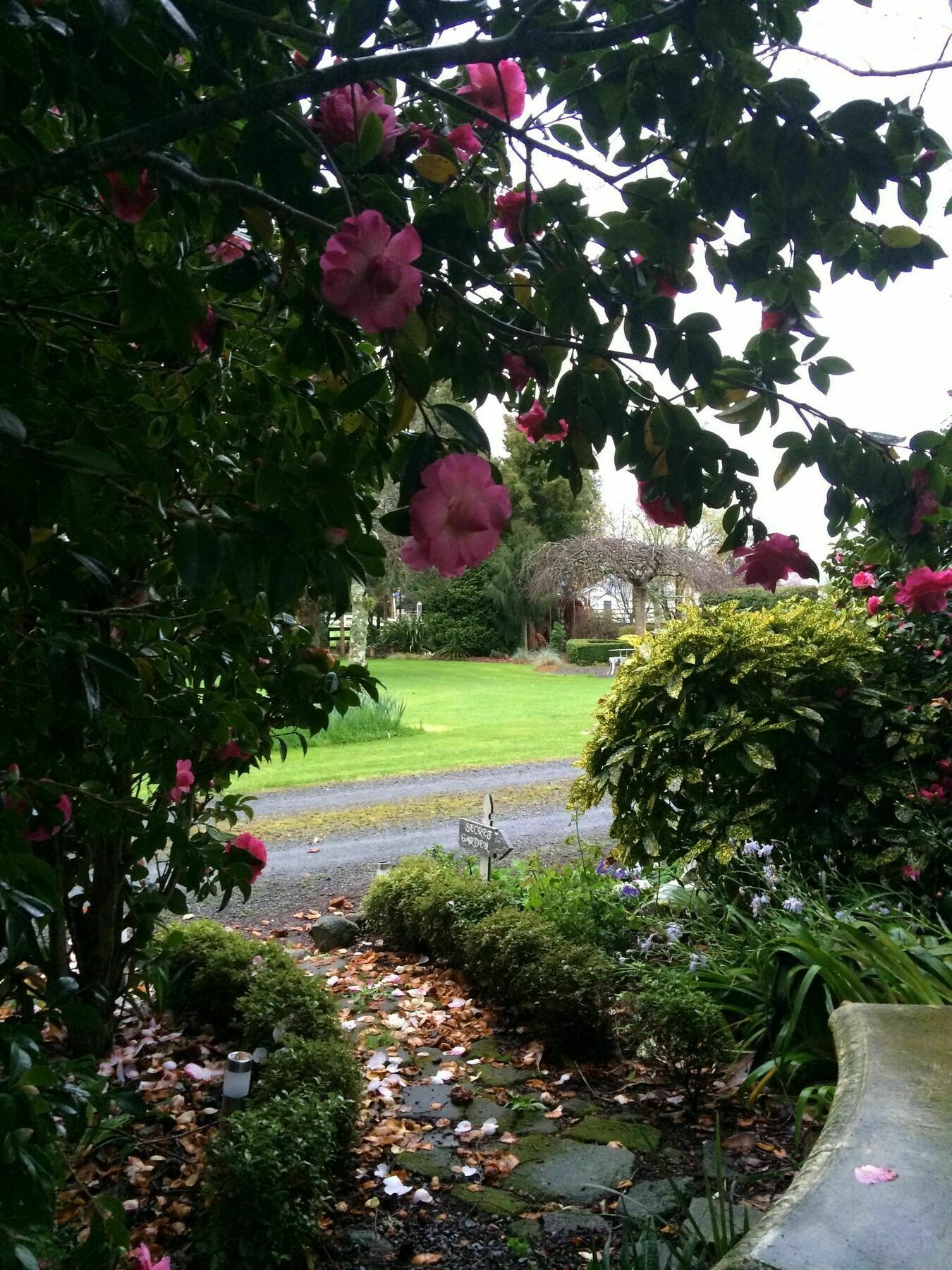 Blairgowrie House Bed & Breakfast Cambridge Luaran gambar