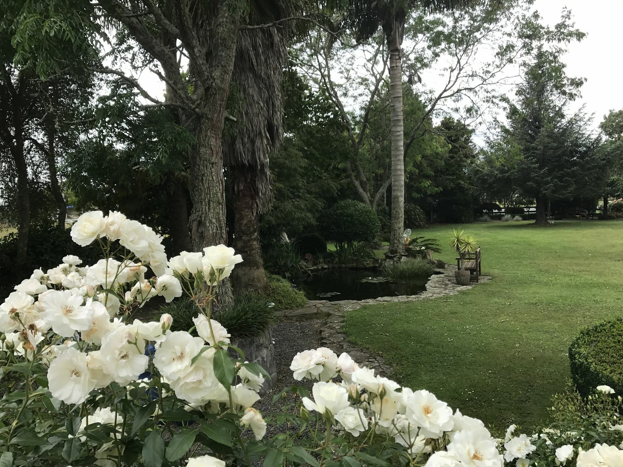 Blairgowrie House Bed & Breakfast Cambridge Luaran gambar