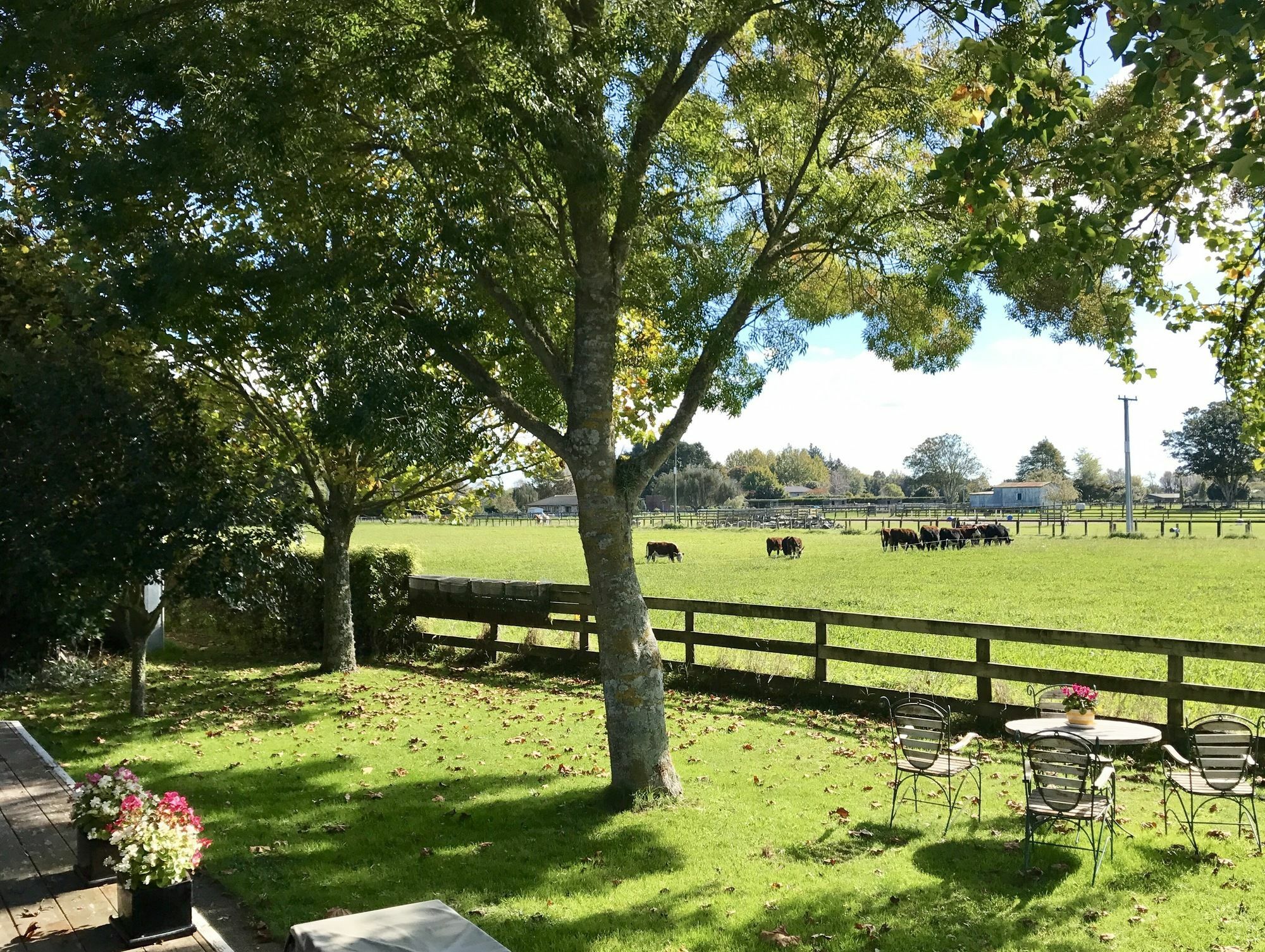 Blairgowrie House Bed & Breakfast Cambridge Luaran gambar